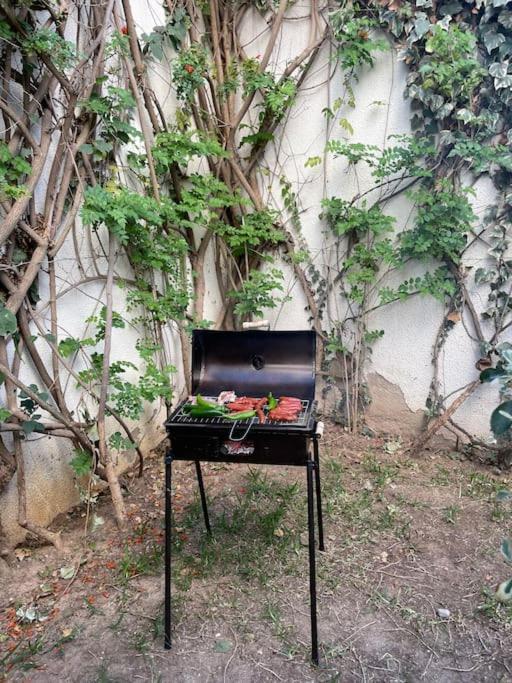 Etage De Villa Avec Jardin, Pres De L'Aireport Et Parking Prive Ар'яна Екстер'єр фото