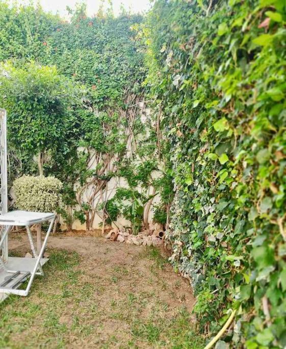 Etage De Villa Avec Jardin, Pres De L'Aireport Et Parking Prive Ар'яна Екстер'єр фото