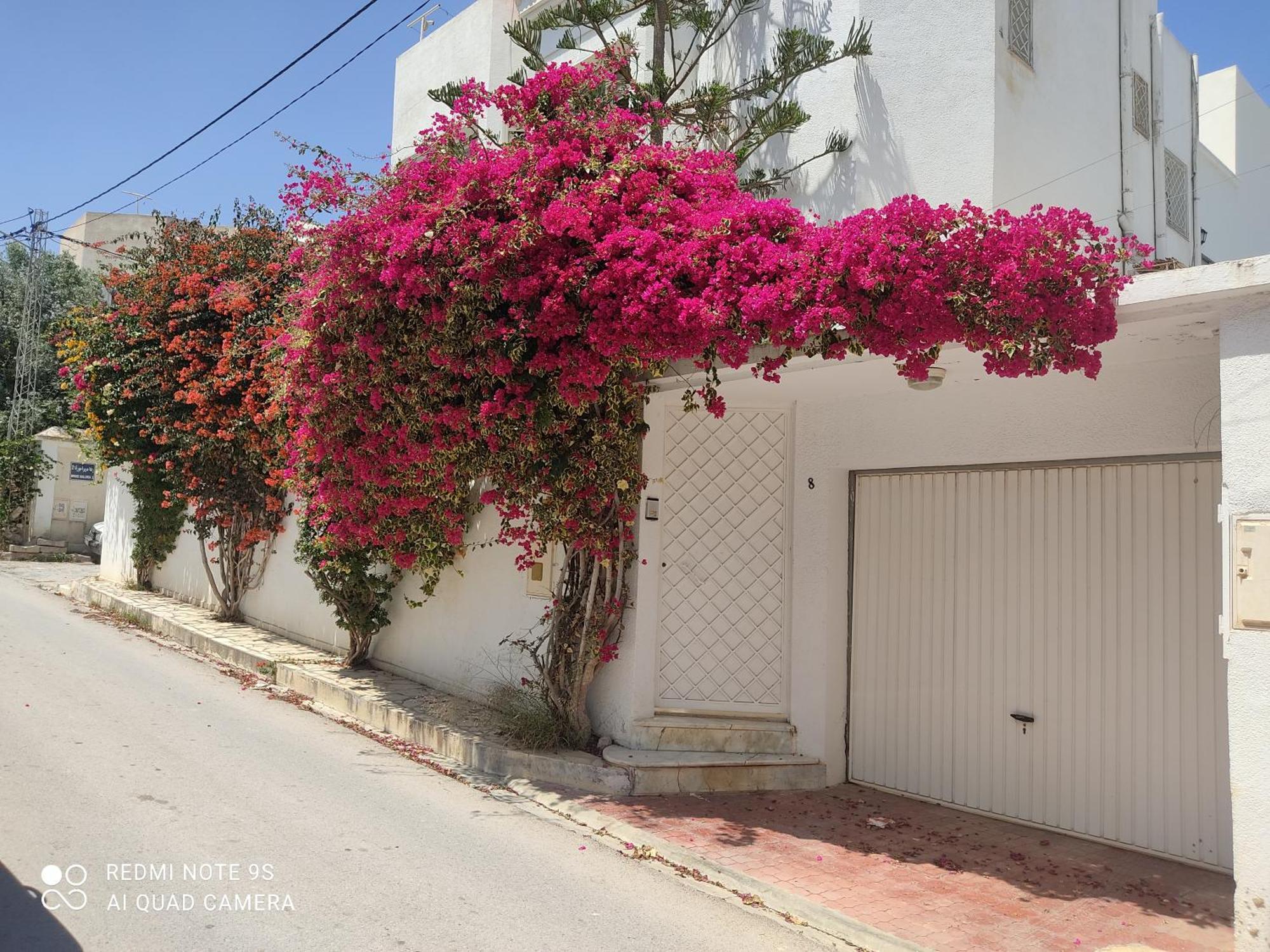 Etage De Villa Avec Jardin, Pres De L'Aireport Et Parking Prive Ар'яна Екстер'єр фото