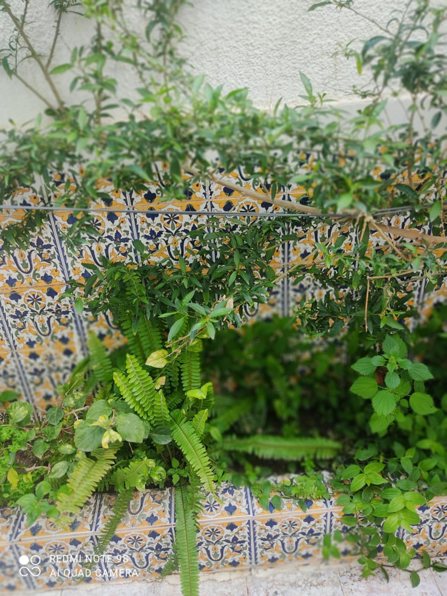 Etage De Villa Avec Jardin, Pres De L'Aireport Et Parking Prive Ар'яна Екстер'єр фото